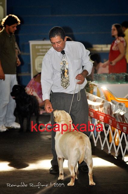 Clique sobre a foto para fechar